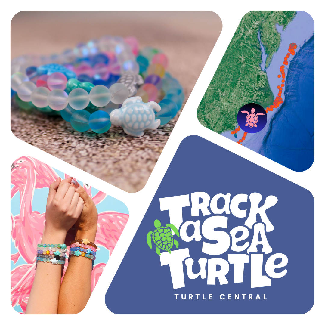 Sea Turtle Jewelry  Save The Turtles with Fahlo